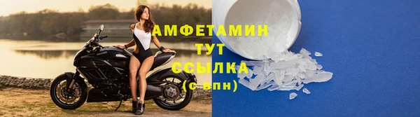 гидра Верхний Тагил