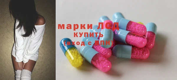 гашик Сосновка