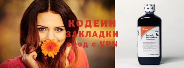 гидра Верхний Тагил