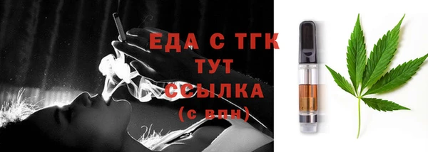 гидра Верхний Тагил