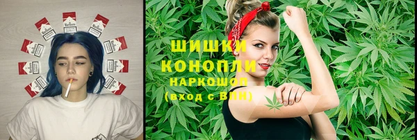 гидра Верхний Тагил