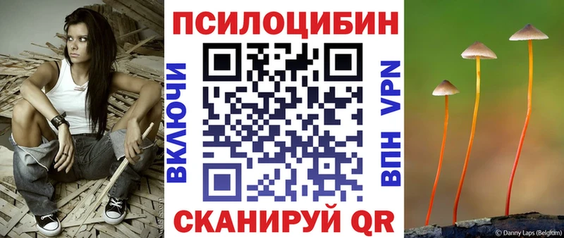 Галлюциногенные грибы Psilocybe  закладки  Льгов 